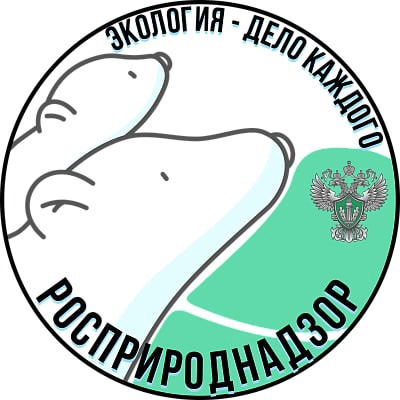 Read more about the article Международная детско-юношеская премия «Экология – дело каждого». Прими участие в Премии Росприроднадзора!