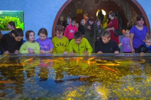 Read more about the article Как мы прожили заезд № 13 (04.10.2022 по 24.10.2022)