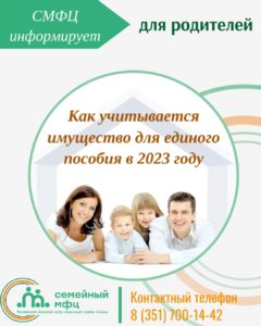 Read more about the article Как учитывается имущество для единого пособия в 2023 году