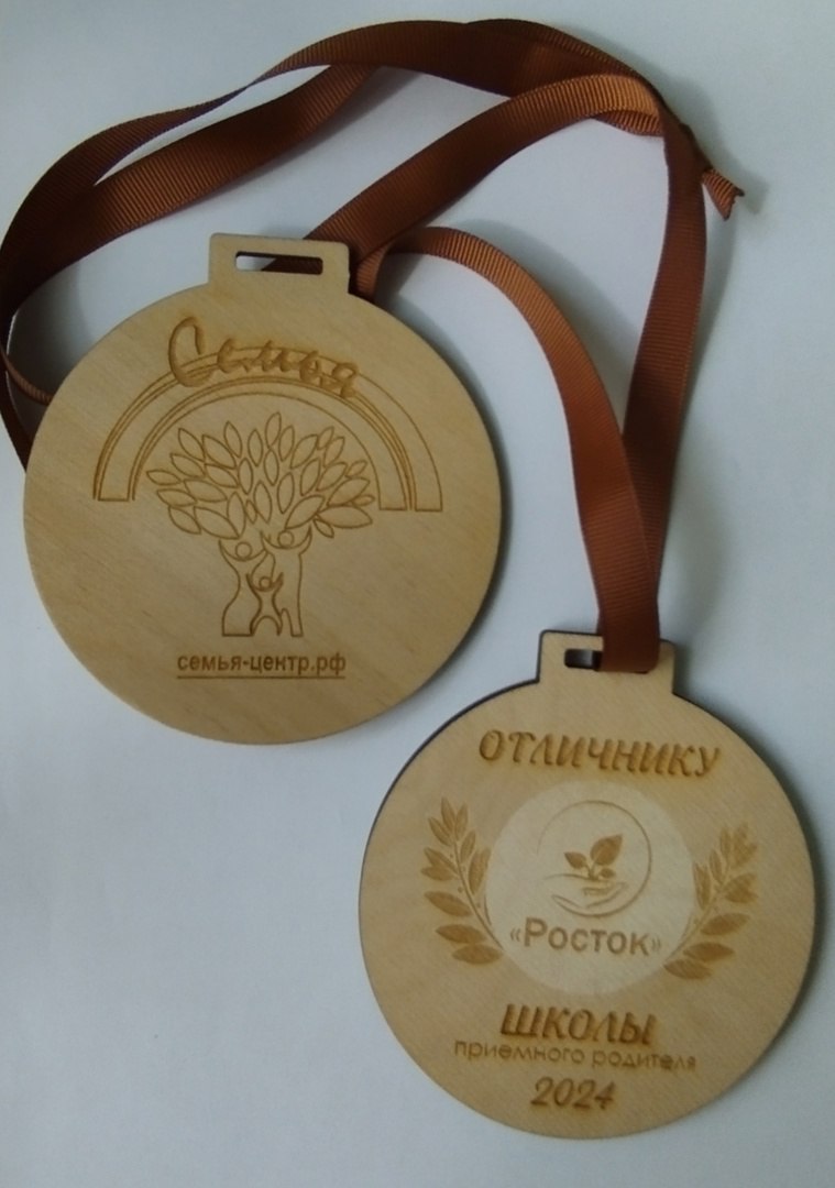 You are currently viewing <strong>Медаль «отличника» – &nbsp;крепкая замещающая семья</strong>