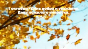 Read more about the article Сегодня, 1 октября, мы отмечаем День пожилого человека. Будем честными, это не про возраст в паспорте, а про состояние души и ту невероятную мудрость, которой обладает наше старшее поколение.